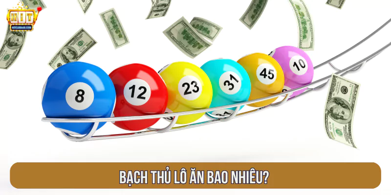 Bạch thủ lô ăn bao nhiêu?