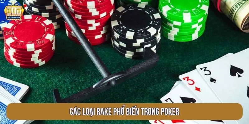 Các loại rake phổ biến trong poker
