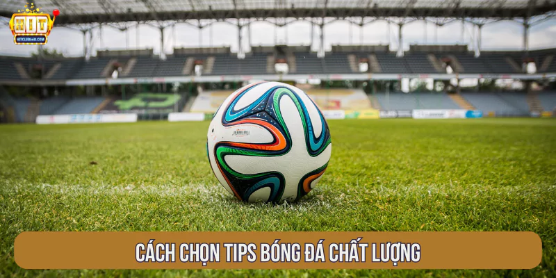 Cách chọn tips bóng đá chất lượng