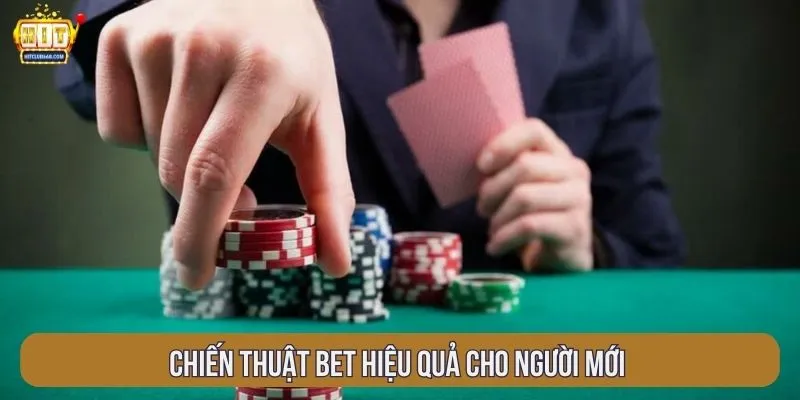 Chiến thuật bet hiệu quả cho người mới 