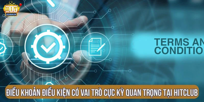 dieu-khoan-dieu-kien-co-vai-tro-cuc-ky-quan-trong-tai-hitclub