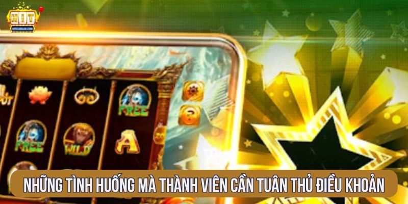 nhung-tinh-huong-ma-thanh-vien-can-tuan-thu-dieu-khoan