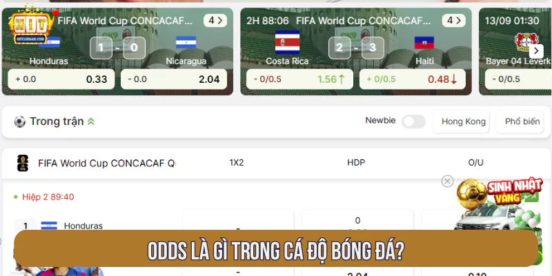 Odds là gì trong cá độ bóng đá?