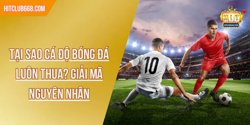 Tại Sao Cá Độ Bóng Đá Luôn Thua? Giải Mã Nguyên Nhân