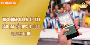 Tips Bóng Đá Là Gì? Tất Tần Tật Về Tips Cá Cược Cho Bet Thủ